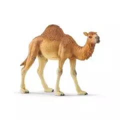 Schleich Dromedar - Bluser